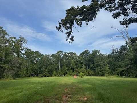 18163 BALFANTZ - 2 ACRES +/1 Road, Springfield, LA 70462