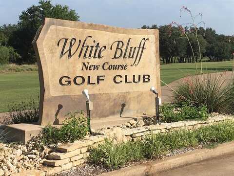 32030 Dove Trail, Whitney, TX 76692