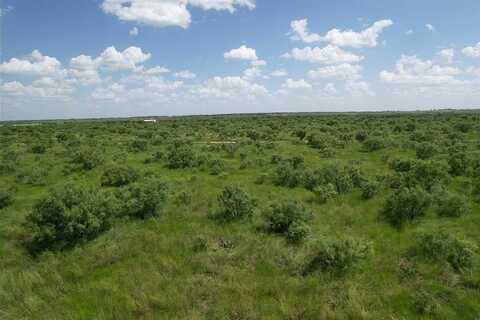 Tbd 50+- Acres Cr 495, Hawley, TX 79525