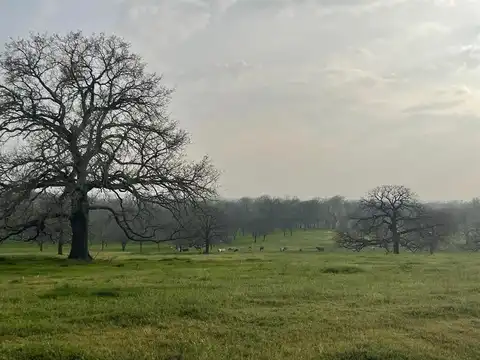 301 Pr-4388, Decatur, TX 76234