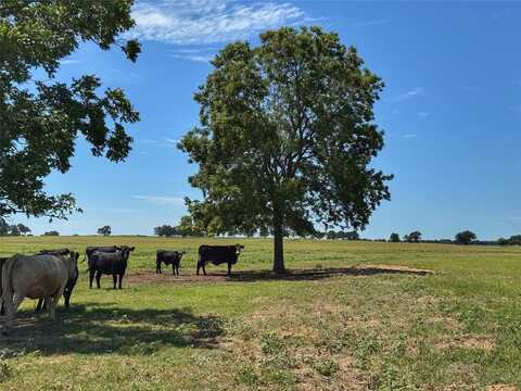 3991 Lone Star Road, Poolville, TX 76487