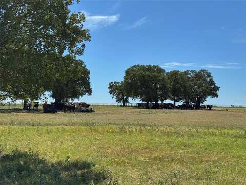 3991 Lone Star Road, Poolville, TX 76487