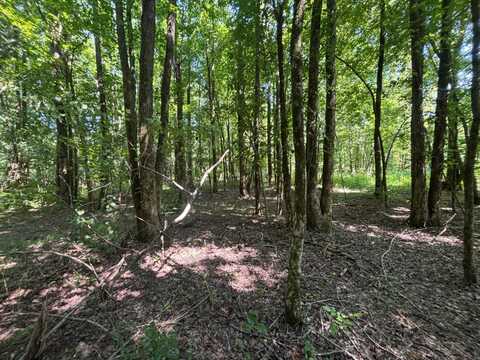 3119 Doc gray road, Maynard, AR 72444