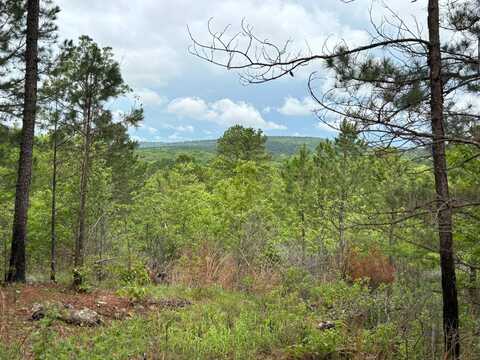 003 E Bolen Hollow W, Pittsburg, OK 74560