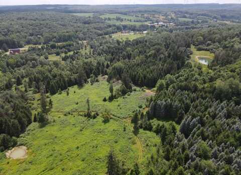0 Rt 39, Bliss, NY 14024