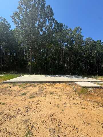 1035 Hugh White State Park Rd, Grenada, MS 38901