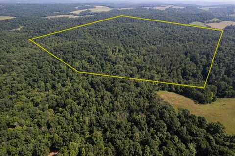 0 Dan Station Road, Olaton, KY 42361