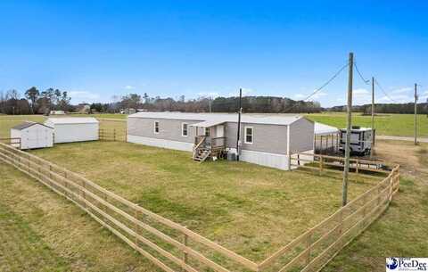 608 S Pine St, Johnsonville, SC 29555