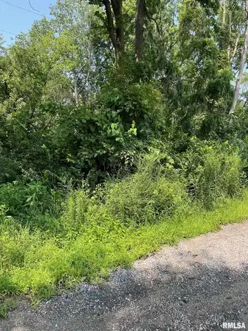 1926 RIVER VISTA Road, Muscatine, IA 52761