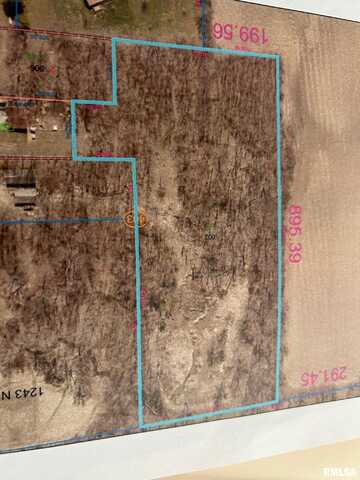 1235 N 1600 E Road, Taylorville, IL 62568