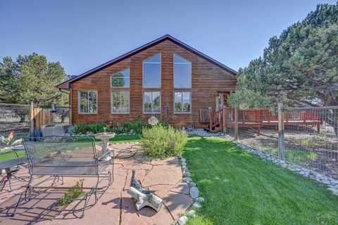 29330 CR 358A, Buena Vista, CO 81211