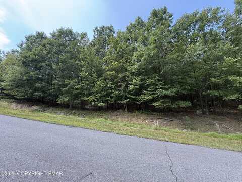 Lot 194 Buck Mountain Boulevard, Hazleton, PA 18202