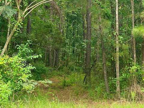 3185 Jackson Landing Road, Picayune, MS 39466
