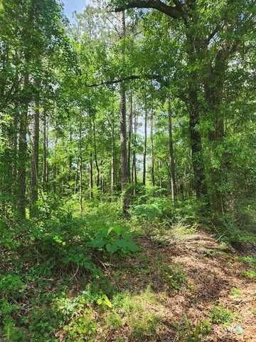 NHN Springhill Road, Poplarville, MS 39470