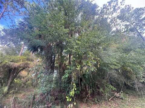 5787 N Brookgreen Drive, Crystal River, FL 34428