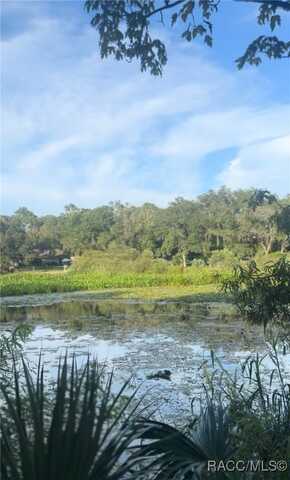 5988 N Brookgreen Drive, Crystal River, FL 34428