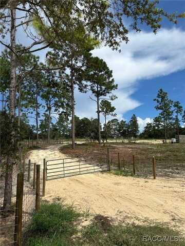 6651 N Turquoise Point, Dunnellon, FL 34433