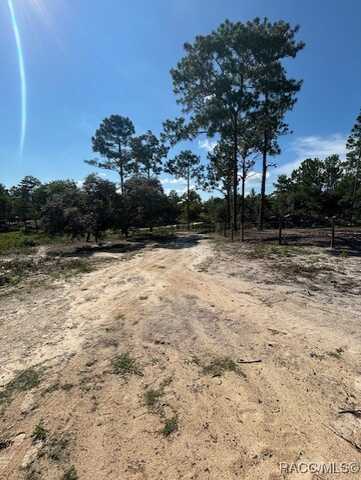 6651 N Turquoise Point, Dunnellon, FL 34433