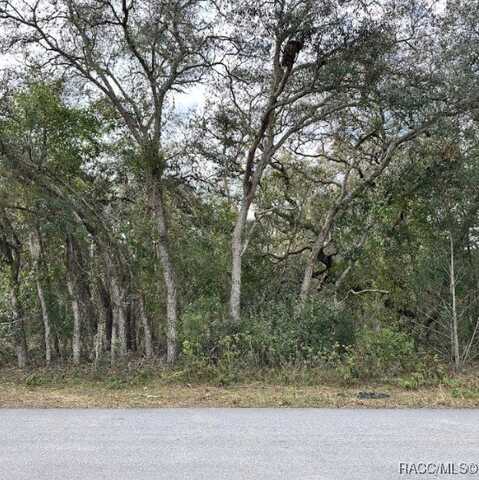 56 N Fresno Avenue, Hernando, FL 34442