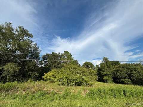 802 Independence Highway, Inverness, FL 34453