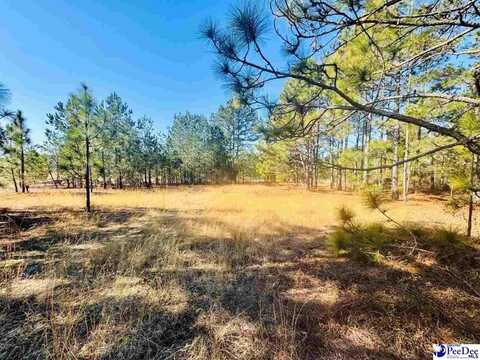 Coastal Lane, Hartsville, SC 29550