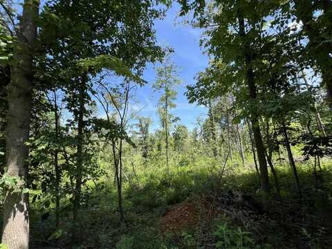 3772 E New Roe Road, Adolphus, KY 42120