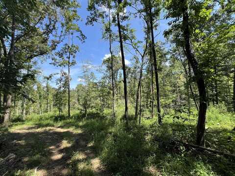 3708 E New Roe Road, Adolphus, KY 42120