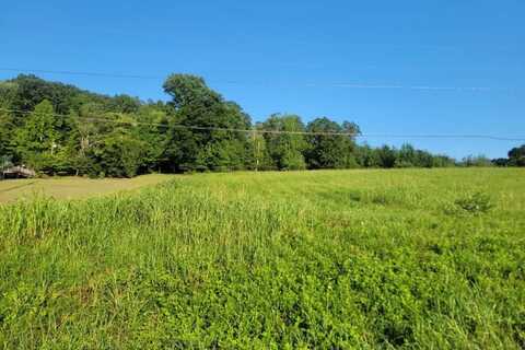 Lot 33 Hinch Street, Spring City, TN 37381