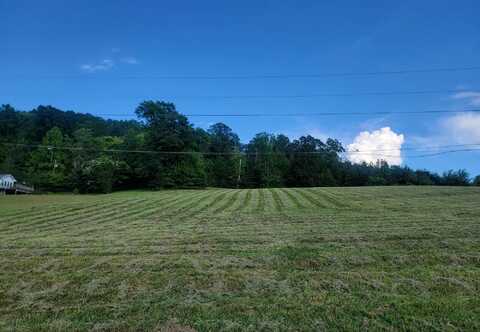 Lot 32 Hinch Street, Spring City, TN 37381