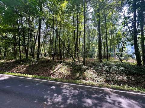 Tract 6 Pleasant Hill Road, Ten Mile, TN 37880