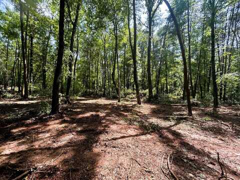 Tract 5 Pleasant Hill Road, Ten Mile, TN 37880