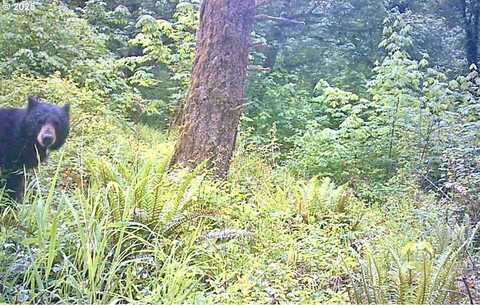 2678 DRIFT CREEK RD, Silverton, OR 97381