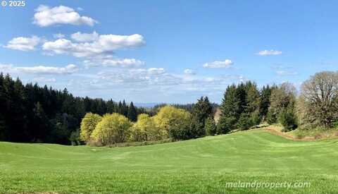 2678 DRIFT CREEK RD, Silverton, OR 97381
