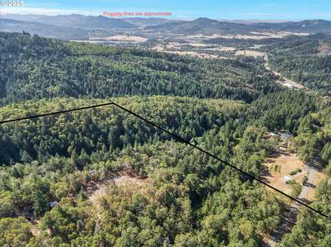 725 WILDFLOWER LN, Oakland, OR 97462
