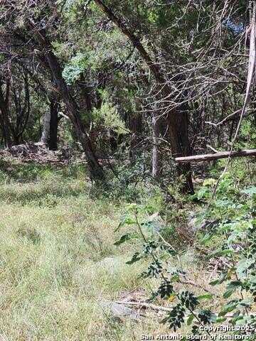 769 Turkey Canyon, Spring Branch, TX 78070