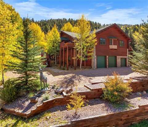 3115 STATE HIGHWAY 9, Guffey, CO 80820
