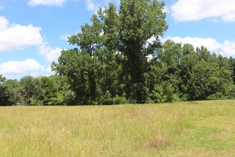 0000 Sylvan Drive, Manning, SC 29102