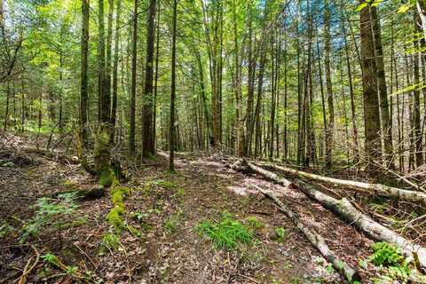 Cty J Road, Irma, WI 54442