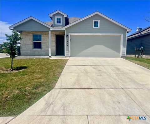 1924 Green Warbler, New Braunfels, TX 78310