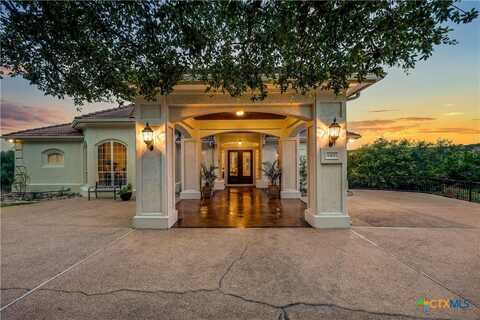1307 Osprey Ridge Loop, Lago Vista, TX 78645