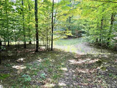 0015 S Mistys Trail, Empire, MI 49630