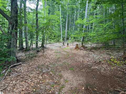 0000 S Bridle Trail, Empire, MI 49630