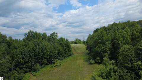 x Greenwood Road, Gladwin, MI 48624
