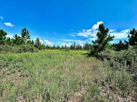 Rock Crusher Road lot: 11, Crawfordville, FL 32327