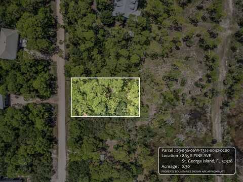 865 E Pine Avenue, St George Islan, FL 32328