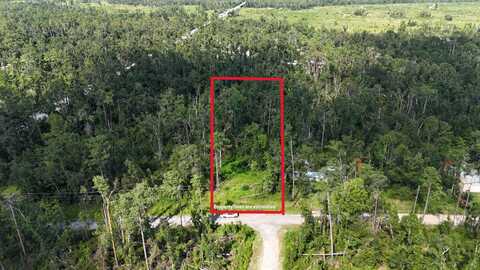 NE Blue Springs Church Rd, Lee, FL 32059