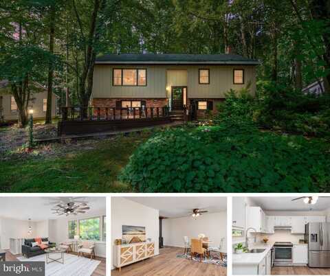 313 WILLIAM WAY, STEVENSVILLE, MD 21666