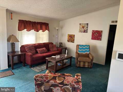 4285 CARPENTER BRIDGE ROAD, FELTON, DE 19943