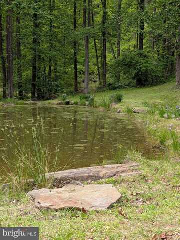 115 OVENTOP MOUNTAIN LANE, SPERRYVILLE, VA 22740