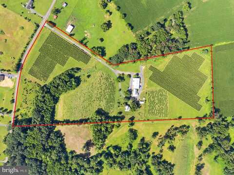 3659 S OX ROAD, EDINBURG, VA 22824